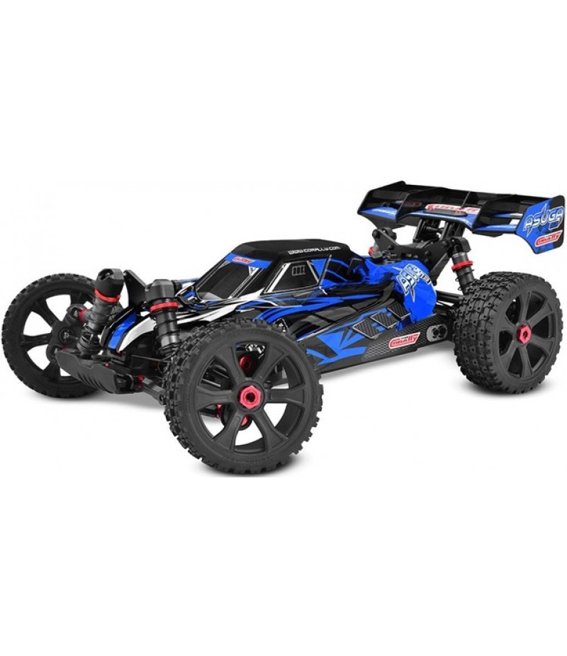 Corally Asuga XLR 6S 4WD Brushless Large Scale RTR Buggy (Blue) w/2.4GHz Radio